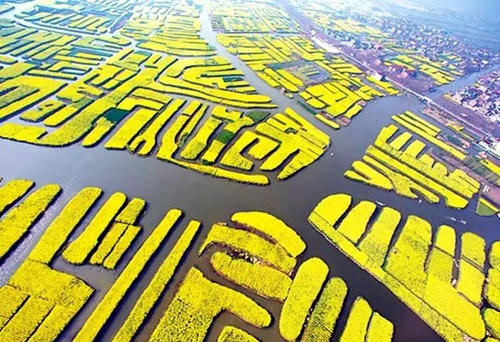 兴化：板桥故里·生态水乡