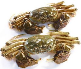 大闸蟹
